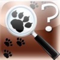 Animal Tracks Quiz