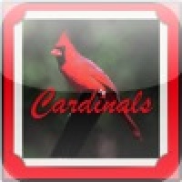 St. Louis Cardinals Baseball Trivia