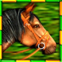 Gallop for Gold Slots