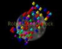 Robotic Space Rock