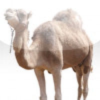 SlidePuzzle - Camel