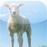 SlidePuzzle - Lamb