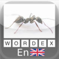 Wordex - English