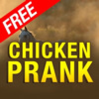 Chicken Prank