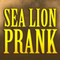 A Sea Lion Prank