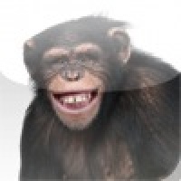 Happy Chimpanzee Slide Puzzle