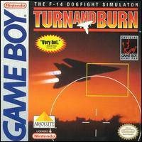 Turn and Burn: F-14 Dogfight Simulator