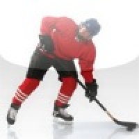 Hillarious Hangman - Hockey