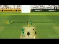 Cricket (Wii)