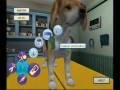 Pet Pals: Animal Doctor (Wii)