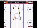 Ice Hockey (Wii)