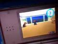 Nintendogs: Best Friends (DS)