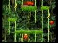 Donkey Konga (GameCube)