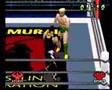WCW vs The World (PlayStation)