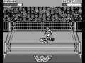 WWF Raw (Game Boy)