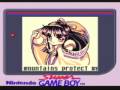 Samurai Shodown (Game Boy)