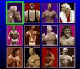WCW Super Brawl Wrestling (SNES)
