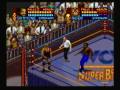 WCW Super Brawl Wrestling (SNES)