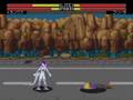 Dragon Ball Z: Buyuu Retsuden (Genesis)