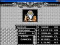 Might and Magic (NES)