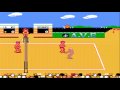 Venice Beach Volleyball (NES)