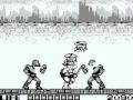 Teenage Mutant Ninja Turtles: Fall of the Foot Clan (Game Boy)