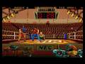 Panza Kick Boxing (PC)