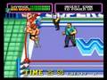 WWF Superstars (Arcade Games)