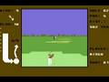 California Pro Golf (Commodore 64)