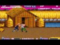Double Dragon II: The Revenge (Arcade Games)