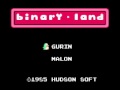 Binary Land (NES)