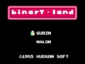 Binary Land (NES)