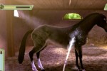 Petz: Saddle Club (PSP)