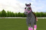 Petz Pony: Beauty Pageant (DS)