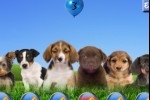 Puppy Palooza (iPhone/iPod)