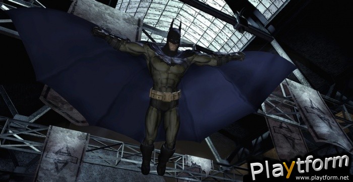 Batman: Arkham Asylum (PC)