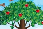 Apple Tree (iPhone/iPod)