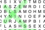 On-Core Wordfind (iPhone/iPod)