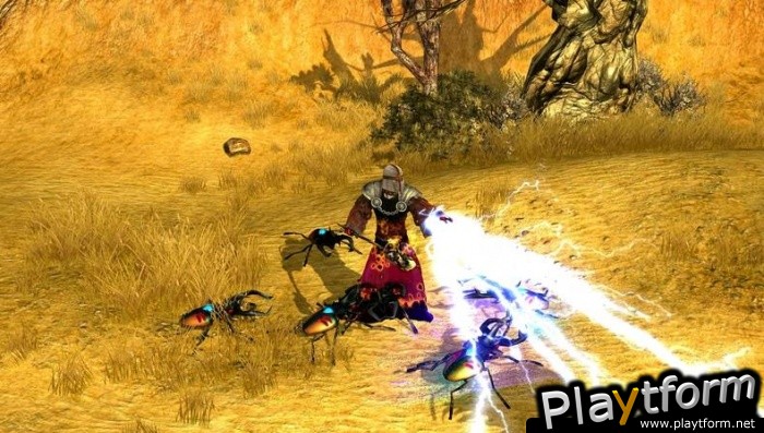 Sacred 2: Fallen Angel (PlayStation 3)