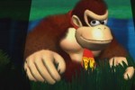New Play Control! Donkey Kong Jungle Beat (Wii)