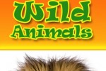 Wild Animals (iPhone/iPod)
