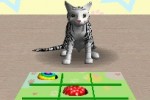 Discovery Kids: Kitten Corner (DS)