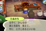 Animal Crossing: City Folk (Wii)