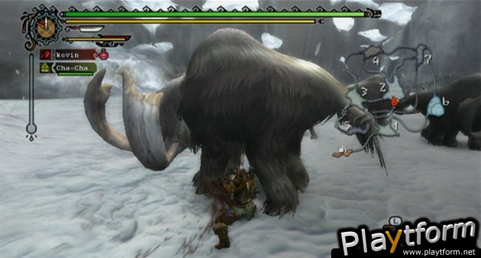 Monster Hunter Tri (Wii)