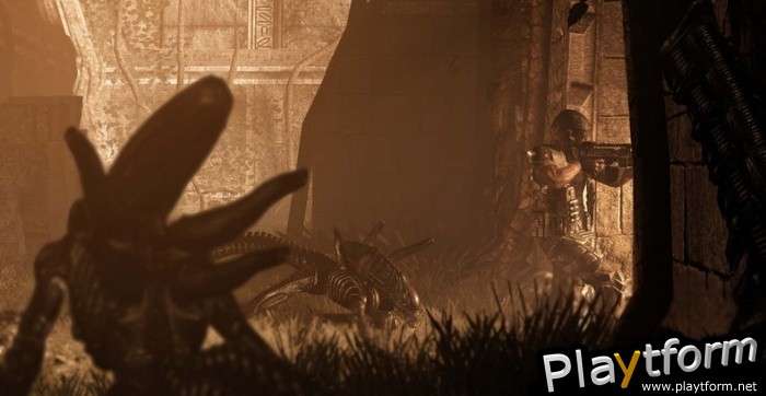 Aliens vs. Predator (Xbox 360)