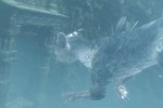 The Last Guardian (PlayStation 3)