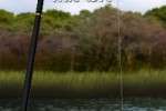 Flick Fishing (iPhone/iPod)