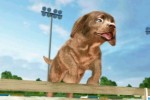 Petz Sports: Dog Playground (Wii)