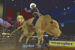 Pro Bull Riders: Out of the Chute (Wii)