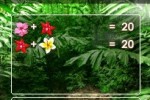 Zenses Rainforest (DS)